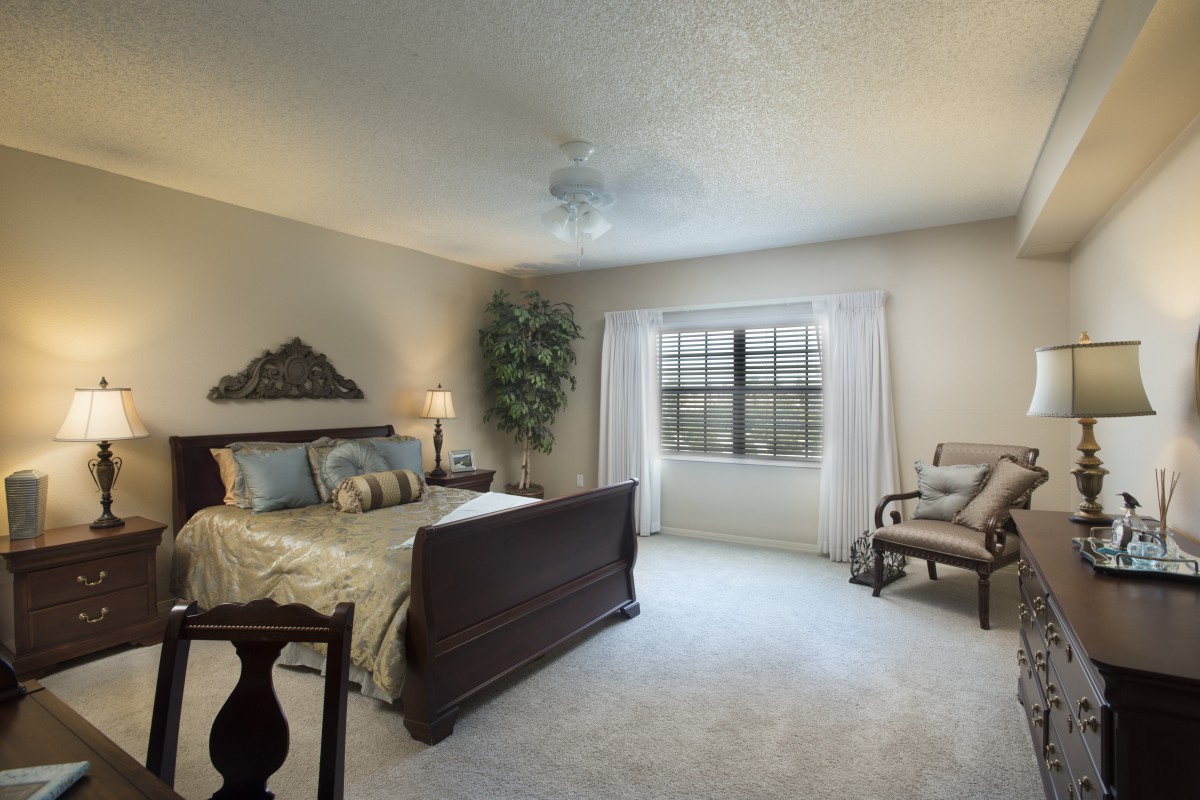 A cozy bedroom with a large bed, carpeted floor, and ample natural light from a window.