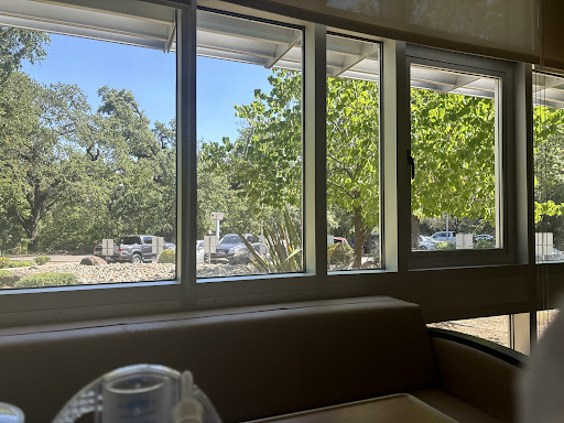 A bright view of trees and outdoor scenery through a set of windows.