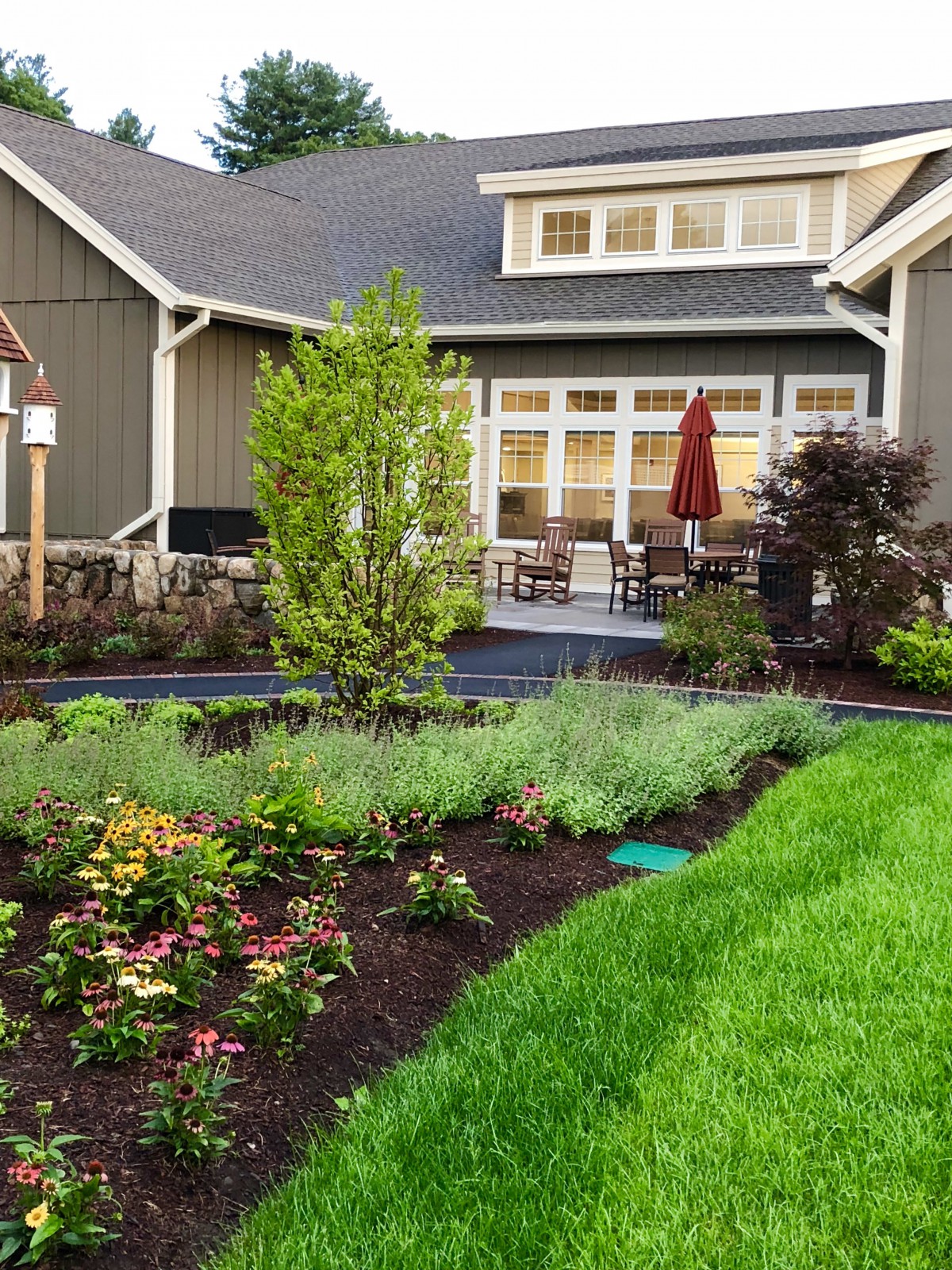 A beautifully landscaped garden with a lush lawn in front of a modern house with a patio.