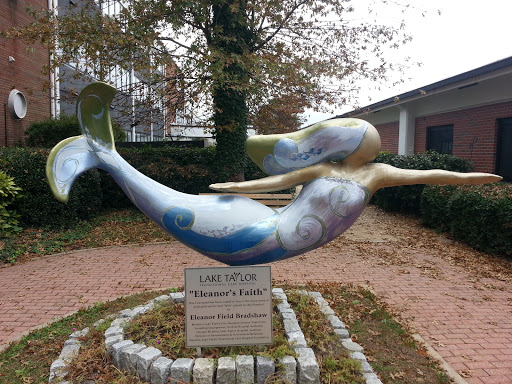Lake Taylor Hosp