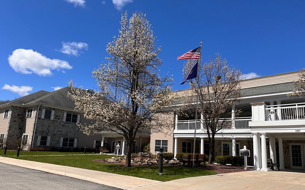 A residential building with blooming trees and flags on a sunny day.