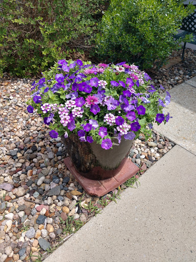 A vibrant planter filled with purple flowers, enhancing the outdoor space.