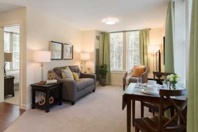A cozy living room with a sofa, lamps, and a window with green curtains.