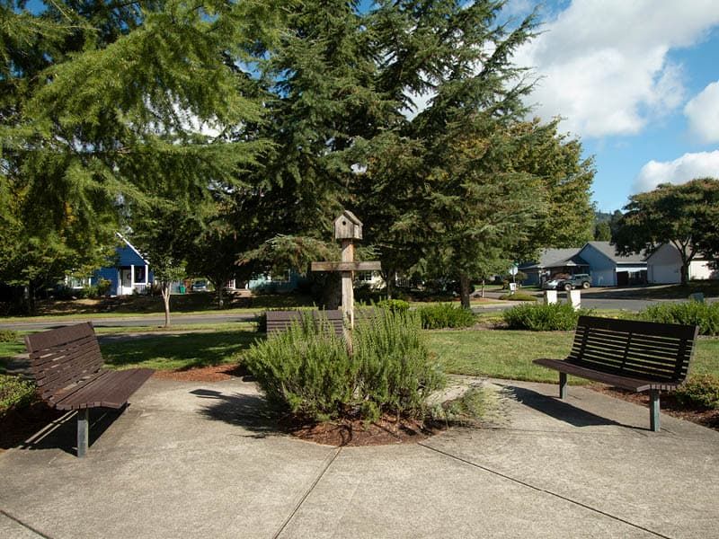 A peaceful park scene featuring benches, lush trees, and a birdhouse along a paved pathway.