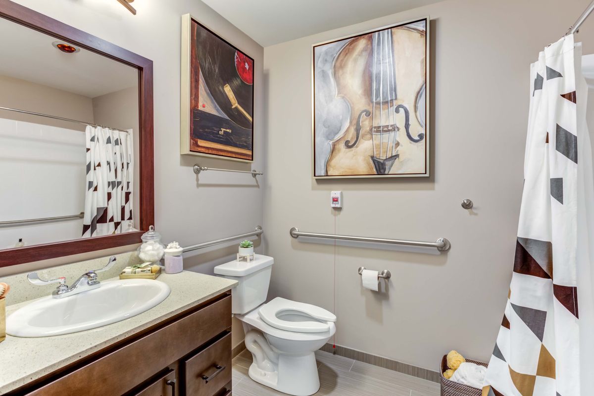 A modern bathroom featuring a toilet, sink, and mirror, adorned with two large paintings and equipped with handrails.