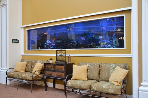 A cozy living room featuring a comfortable sofa and a stunning aquarium with blue lighting.