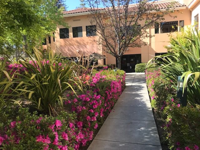 A scenic pathway lined with vibrant flowers and greenery leads to a building under a clear blue sky.