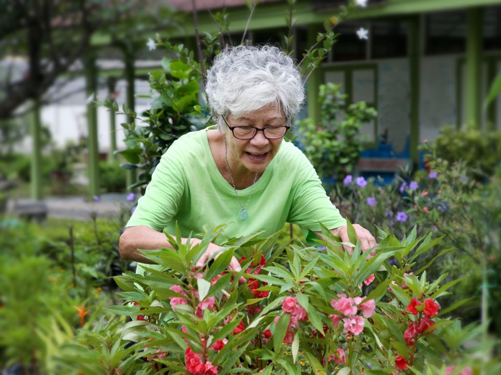 An elderly woman tending to her garden, surrounded by vibrant flowers and lush greenery.