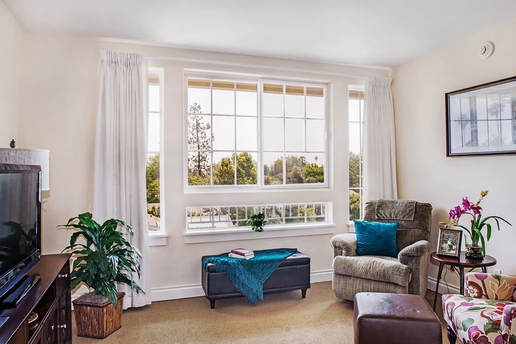 A cozy living room with a large window, an armchair, a plant, and blue accents.
