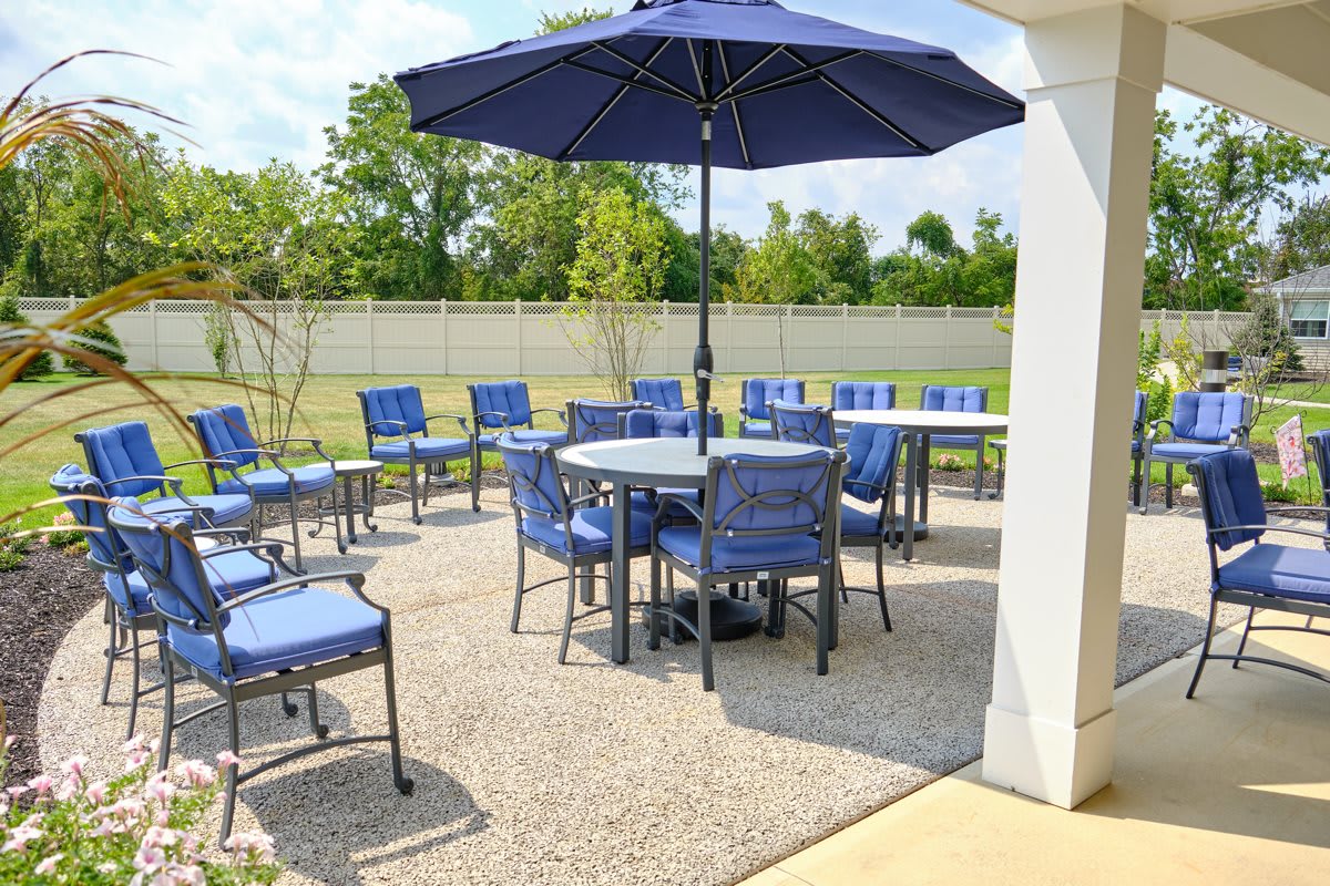 A patio setup with blue cushioned chairs and a large umbrella, perfect for outdoor gatherings.