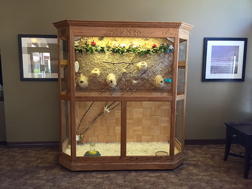 A beautifully designed wooden animal enclosure featuring branches and greenery.