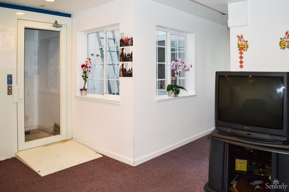 A cozy living room with a television, potted flowers by the windows, and carpeted flooring.