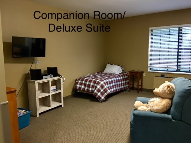 A cozy companion room with a bed and television in a deluxe suite.
