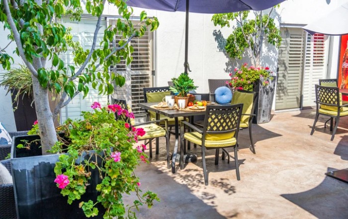 A sunny patio with a dining set surrounded by lush plants and vibrant flowers.