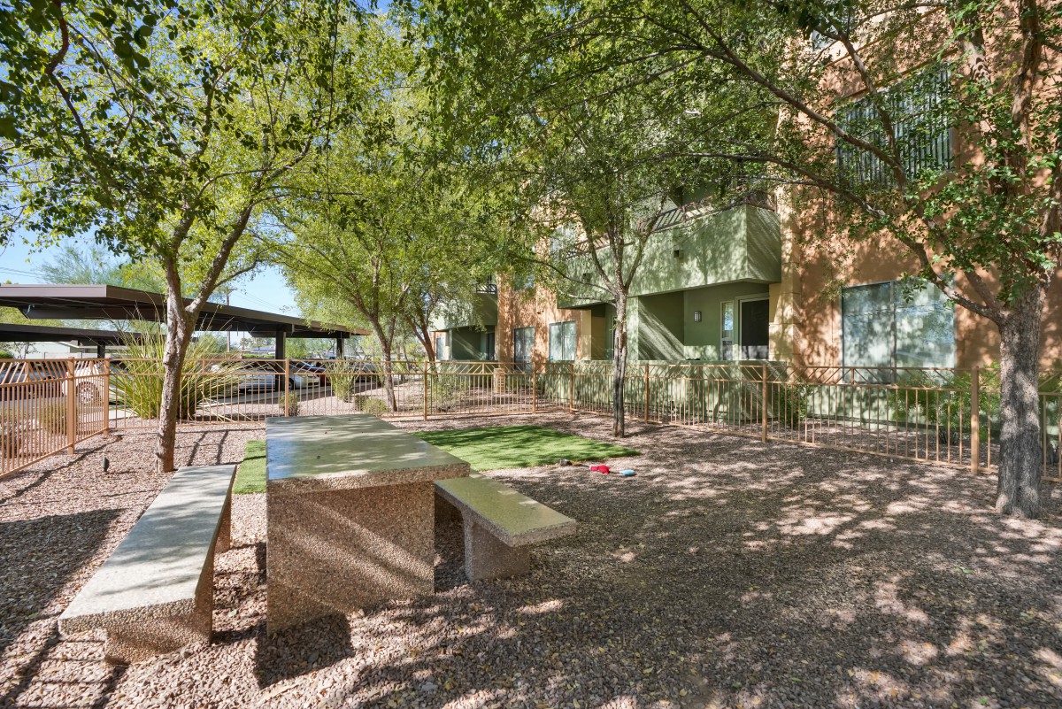 A serene outdoor area with benches under the shade of lush trees.