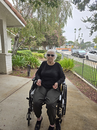A senior individual enjoying the outdoors while seated in a wheelchair.