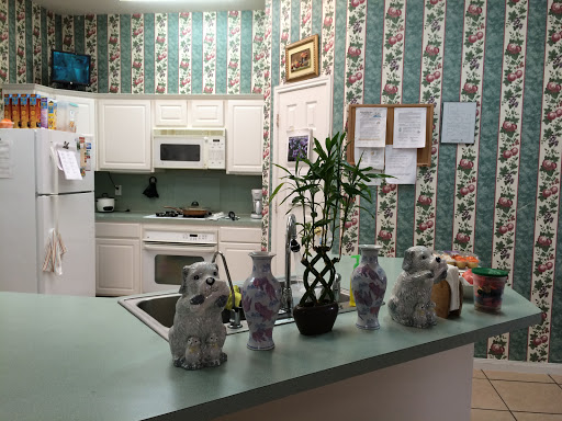 A cozy kitchen featuring decorative vases and plants against a patterned wallpaper.