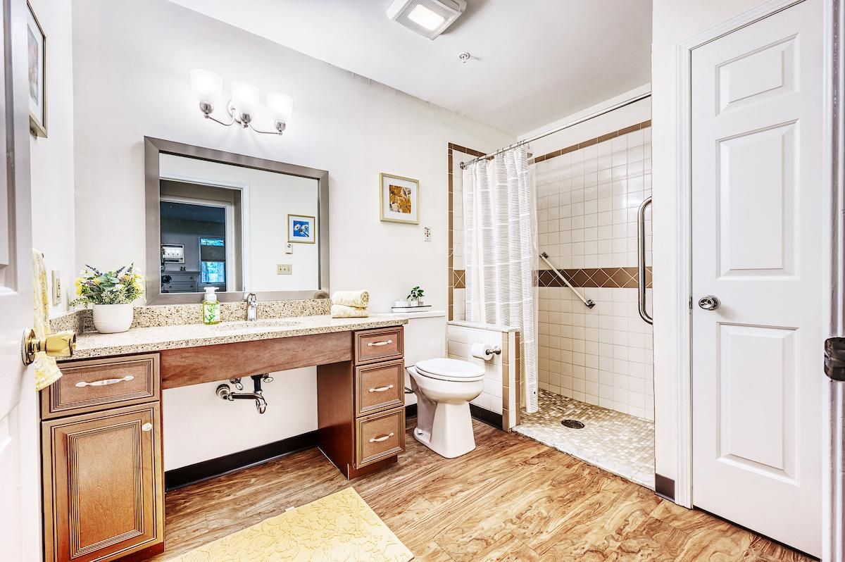 A modern bathroom featuring a walk-in shower, toilet, and spacious vanity with a large mirror.