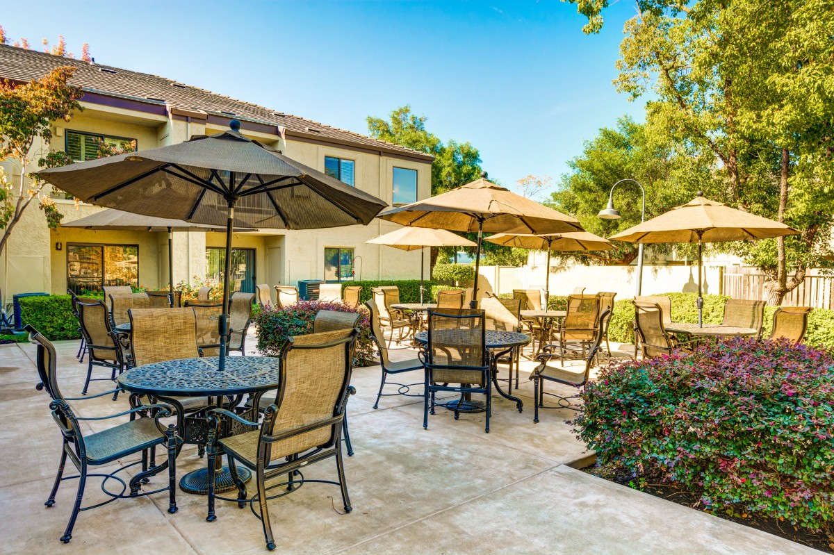 A sunny outdoor patio area with tables, chairs, and umbrellas surrounded by lush greenery.