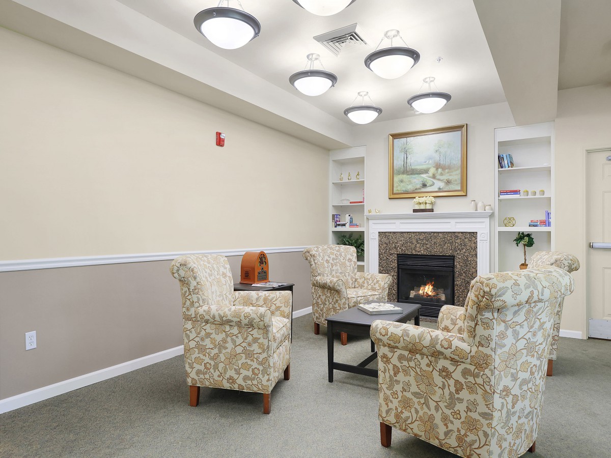Cozy living room with armchairs and a fireplace, surrounded by bookshelves and decorated with a painting.
