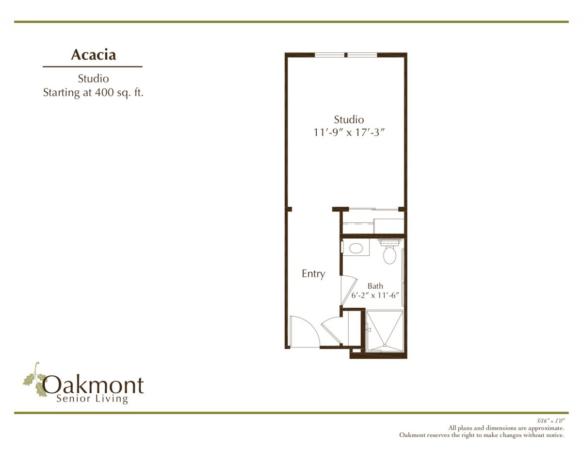 A floor plan for the Acacia studio apartment layout, featuring a living area and bathroom.