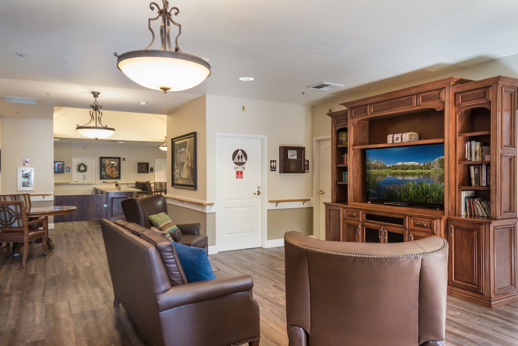 A cozy living room featuring leather sofas, a large television, and elegant lighting fixtures.