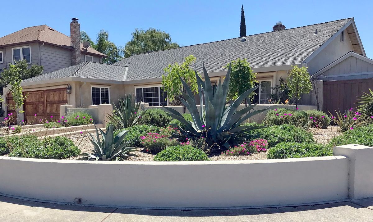 A suburban house with a well-maintained front yard featuring large agave plants and various greenery under a clear blue sky.
