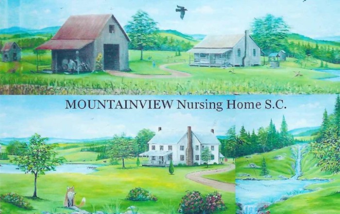 Mountainview Nursing Home