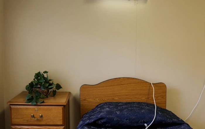 A cozy bedroom setup with a wooden bed, nightstand, and a small lamp, adorned by a leafy plant.