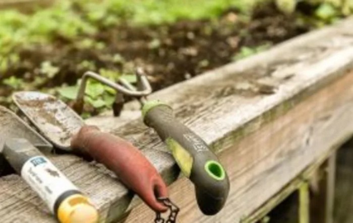 A selection of gardening tools rests on the edge of a raised garden bed.