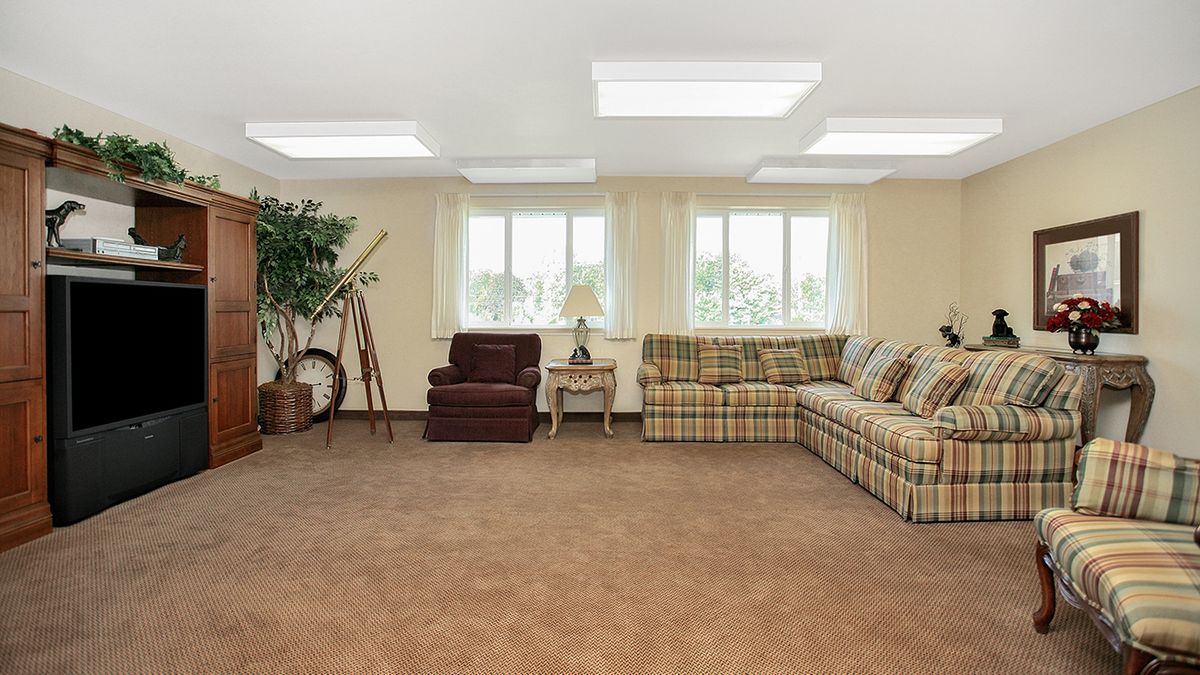 A spacious living room with a plaid sofa, armchair, and indoor plant.
