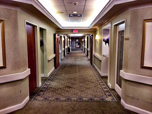 A well-lit hotel hallway featuring multiple doors along a carpeted floor.