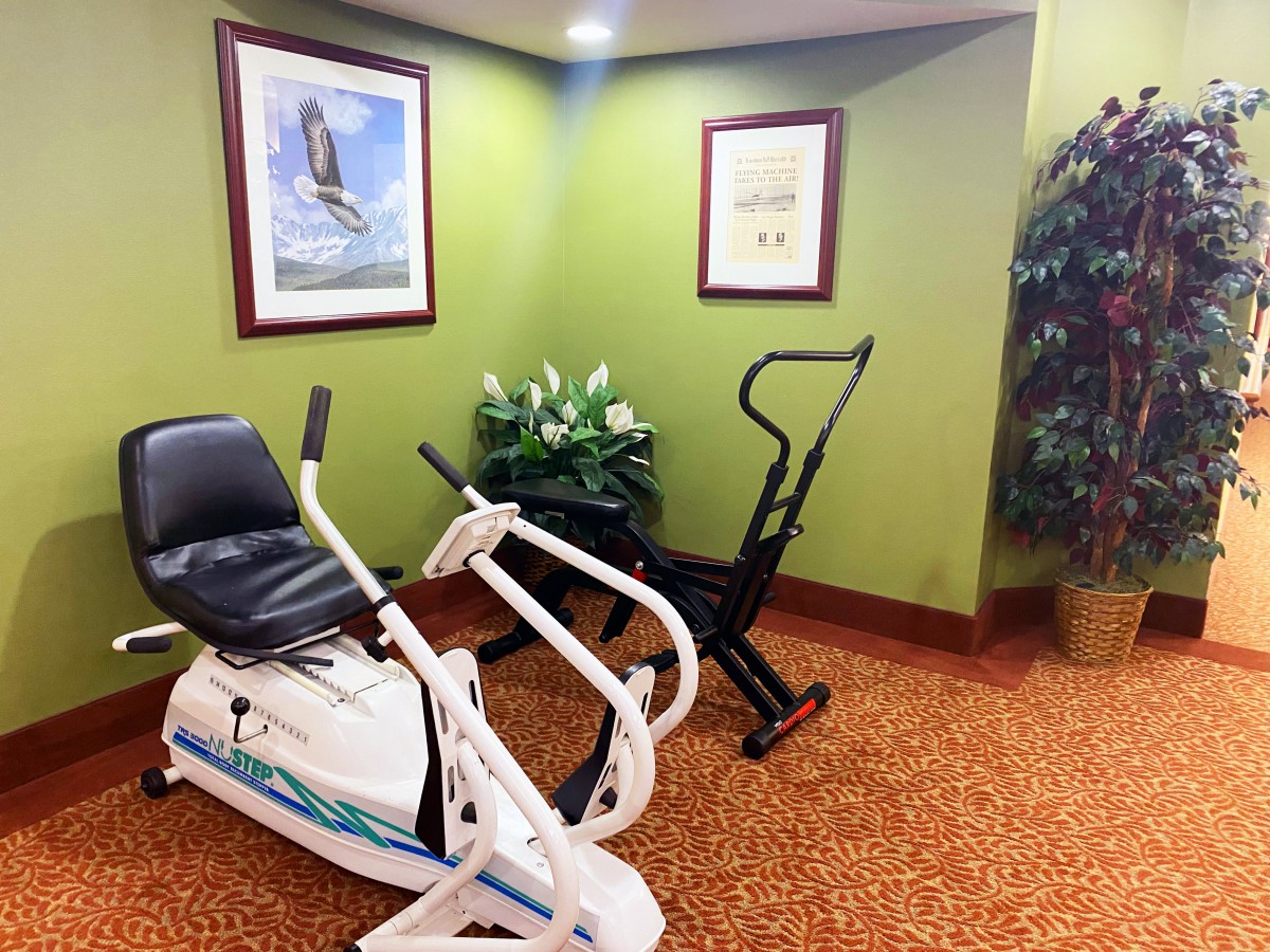 A small fitness room featuring exercise equipment, decorative plants, and framed artwork on green walls.