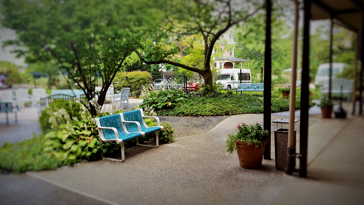 A tranquil park scene featuring blue benches surrounded by lush greenery.