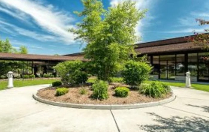 A well-maintained courtyard with lush greenery and a central tree.