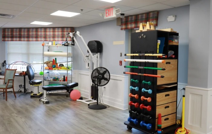 A well-equipped therapy room featuring various exercise equipment and weights.