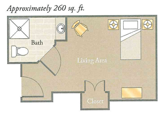 Floor plan of a studio apartment measuring approximately 260 square feet.