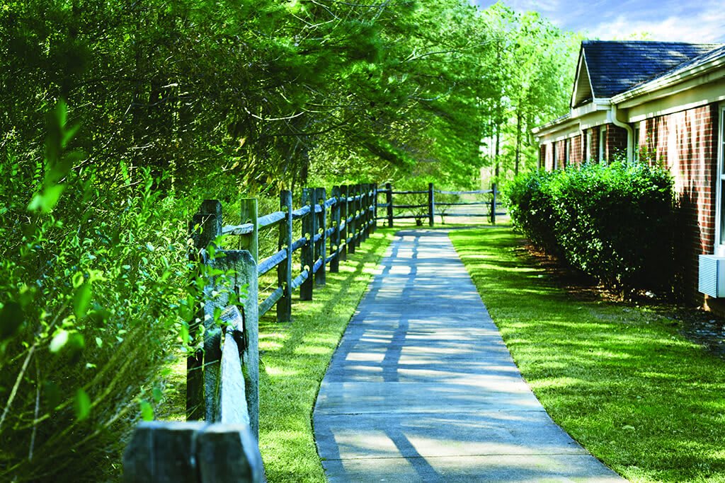 Spring Arbor of Wilson