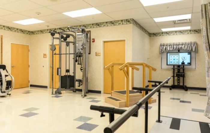 Manorcare Health Services
