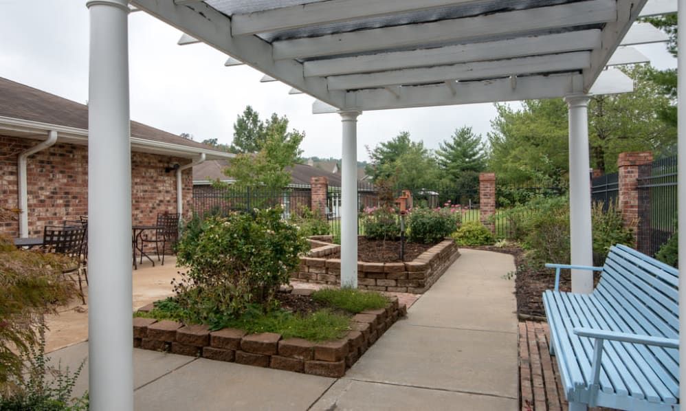 A well-maintained garden with a pergola and walkway.