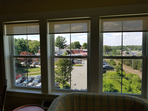 A view from the window showcasing a mix of greenery and parked cars in daylight.