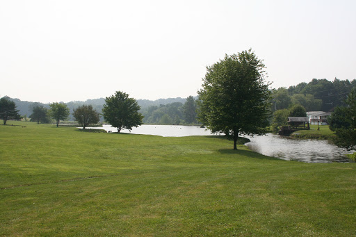 A serene view of a lake surrounded by lush greenery and trees.