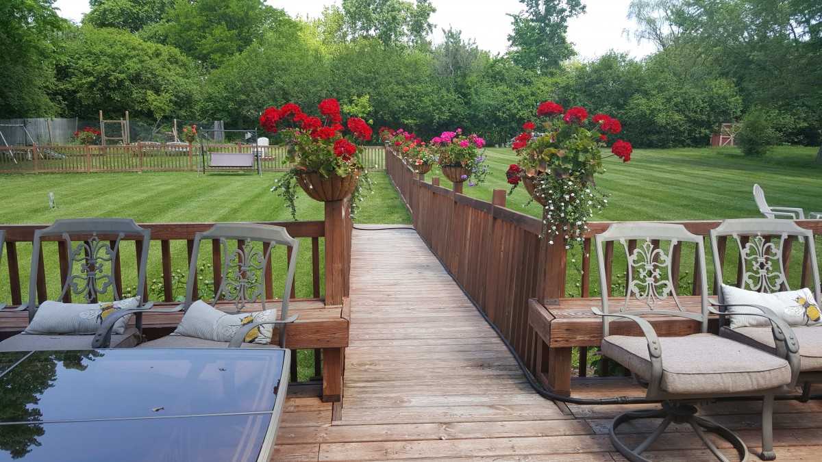 A wooden walkway adorned with vibrant red flowers leads through a lush garden.