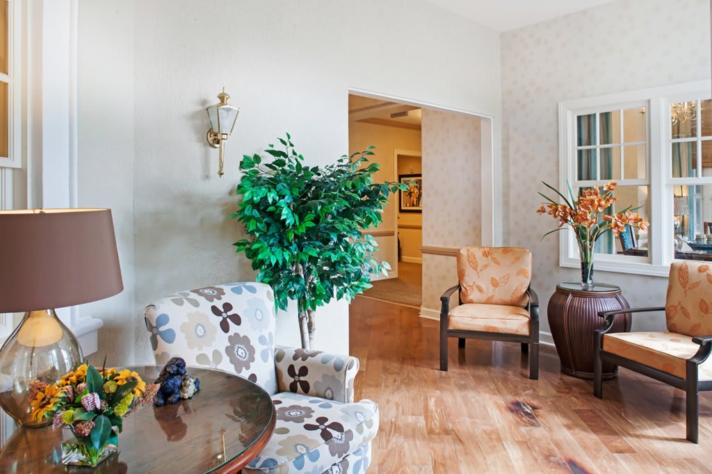A cozy living room with decorative chairs, a potted plant, and a warm wooden floor.