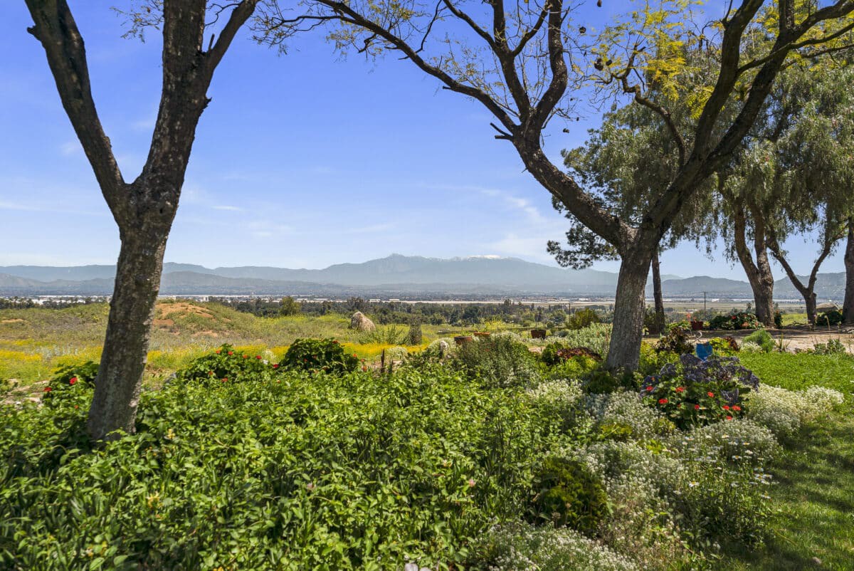A scenic view of lush greenery with trees framing distant hills under a clear blue sky.