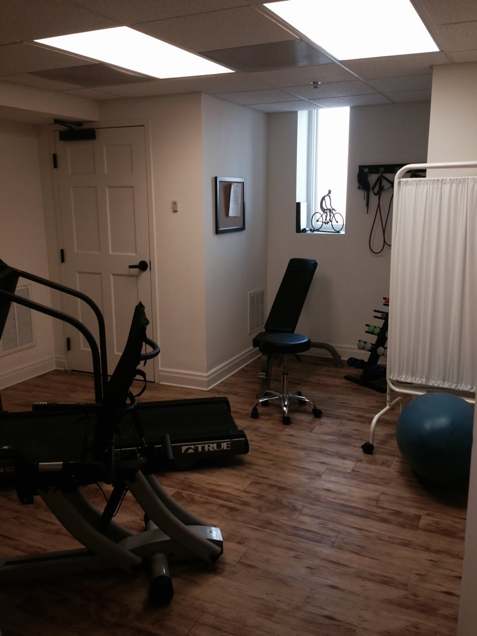 A cozy home gym equipped with a treadmill and yoga ball.