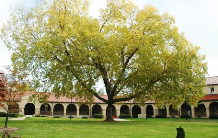 Rosary Care Center