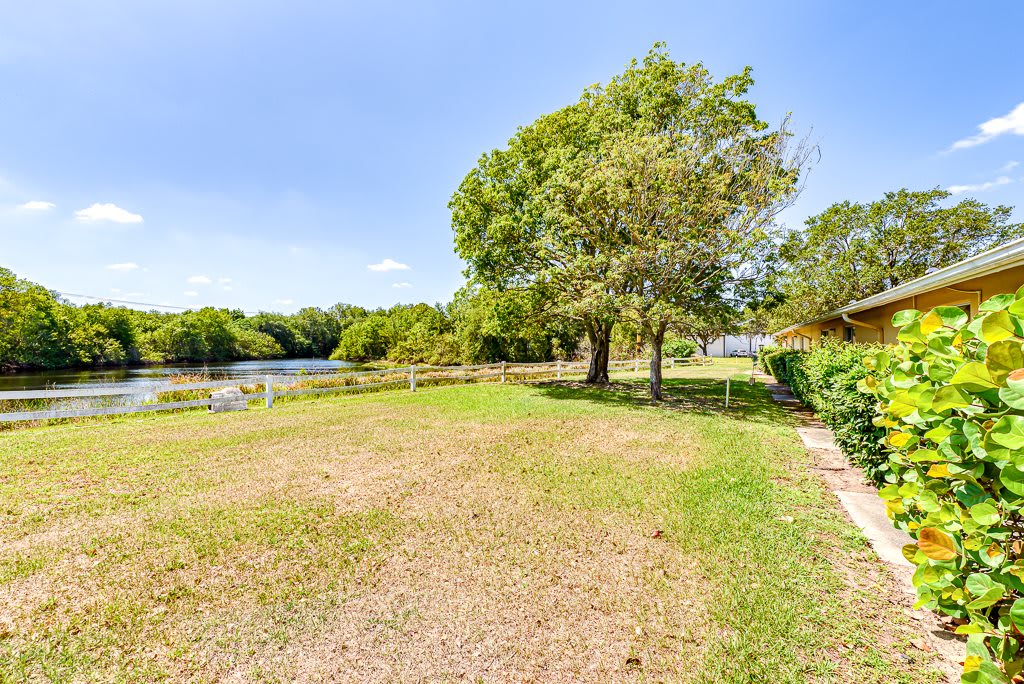 A scenic view of a grassy area with trees near a river under a clear blue sky.