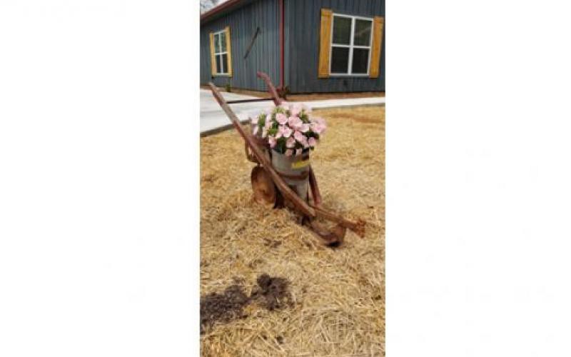 A rustic wheelbarrow filled with flowers serves as garden decor in front of a house.