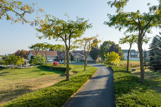 A serene pathway lined with trees, leading through a lush park on a clear day.